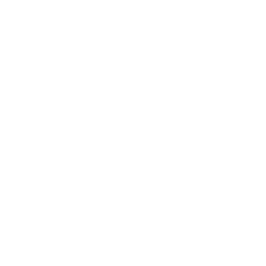 Track Light